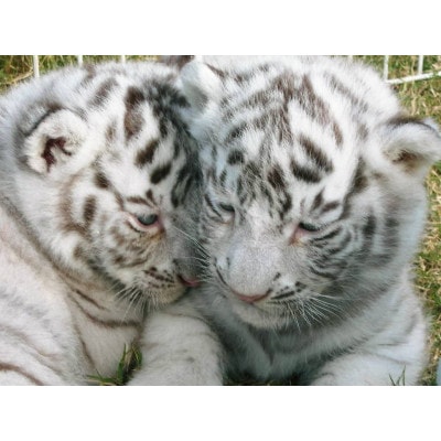 「瀬戸・たかまつネットワーク」香川県　(さぬき市・三木町・東かがわ市方面)　2日間【1280372】