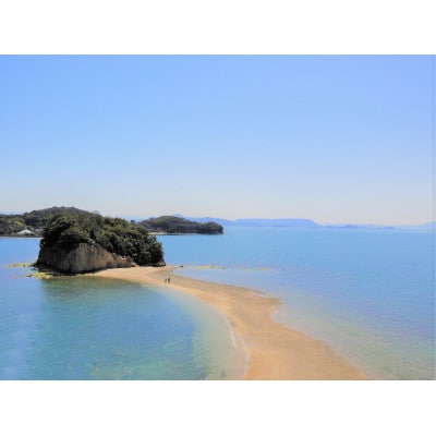 「瀬戸・たかまつネットワーク」貸切クルーザーで巡る香川県(直島・豊島方面)2日間【1280374】