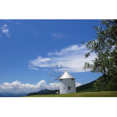 「瀬戸・たかまつネットワーク」貸切クルーザーで巡る香川県(直島・豊島方面)2日間【1280374】