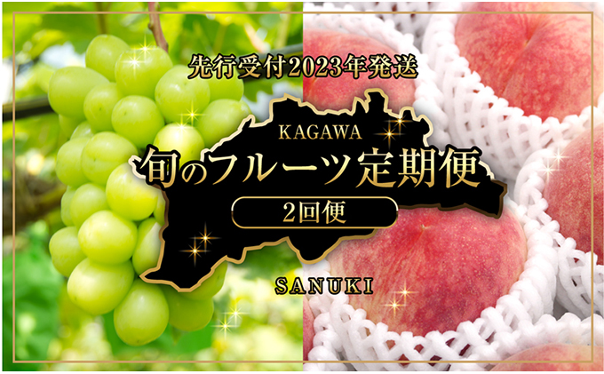 【2024年先行予約】夏のフルーツ定期便（桃・シャインマスカット2回便） 果物 ぶどう 甘い おいしい 高糖度 サクッ 人気 皮ごと 詰合せ