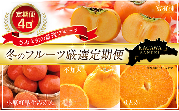 冬のフルーツ厳選定期便（富有柿・小原紅早生みかん・デコポン（不知火）・せとか）4回便 果物 甘い おいしい 人気 柑橘類 ビタミンC ガン予防 酸味 果肉
