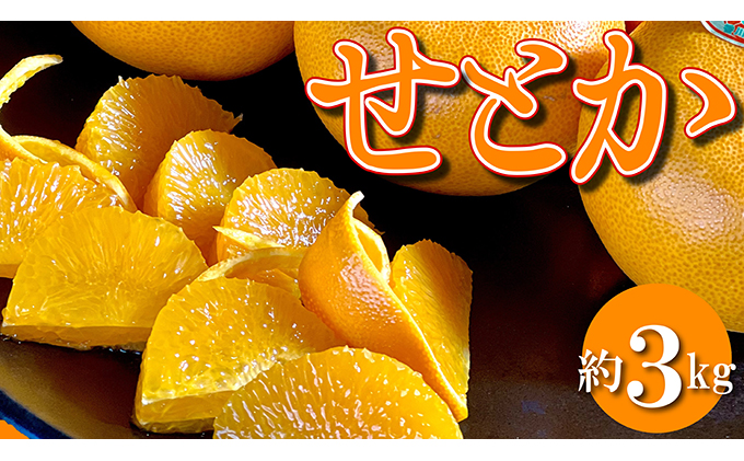 柑橘界の大トロ！三豊市の「せとか」　約3kg