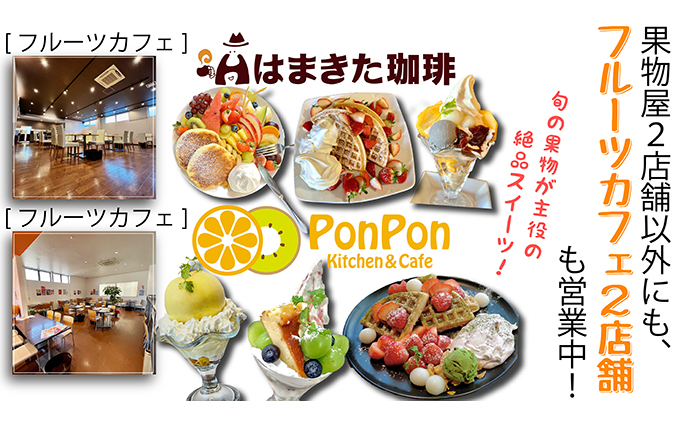 ææ©çã®å€§ããïŒäžè±åžã®ãããšãããçŽ3kg