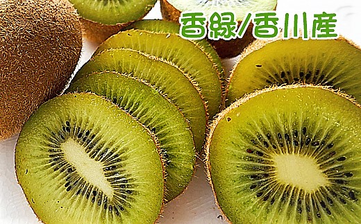 香川産のオリジナル品種キウイフルーツ［香緑］ 果物 詰合せ セット