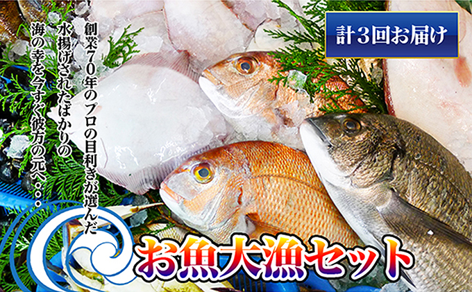 ［頒布会3回］瀬戸内海産の海産物の詰め合わせ（下処理ナシ） タイ サザエ カレイ サヨリ チヌ