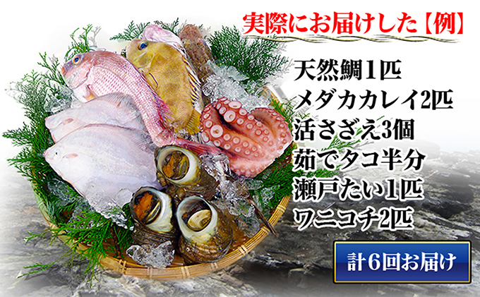 é åžäŒ6åïŒœç¬æžå
æµ·ç£ã®æµ·ç£ç©ã®è©°ãåããïŒäžåŠçã¢ãªïŒ