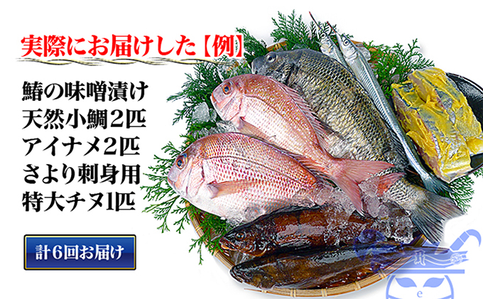 é åžäŒ6åïŒœç¬æžå
æµ·ç£ã®æµ·ç£ç©ã®è©°ãåããïŒäžåŠçã¢ãªïŒ