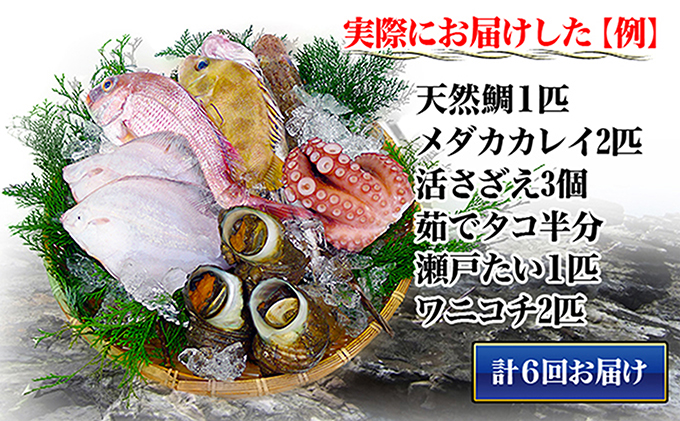 シサ鬆貞ク莨6蝗橸シス轢ャ謌ク蜀豬キ逕」縺ョ豬キ逕」迚ゥ縺ョ隧ー繧∝粋繧上○シ井ク句ヲ逅繝翫すシ