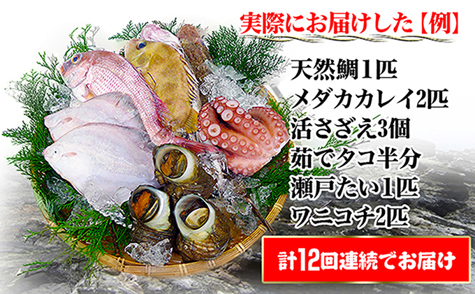 シサ鬆貞ク莨12蝗橸シス轢ャ謌ク蜀豬キ逕」縺ョ豬キ逕」迚ゥ縺ョ隧ー繧∝粋繧上○シ井ク句ヲ逅繝翫すシ