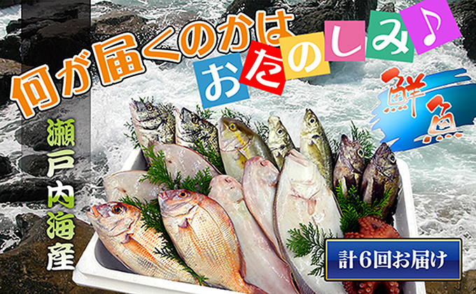 シサ鬆貞ク莨6蝗橸シス轢ャ謌ク蜀豬キ逕」縺ョ豬キ逕」迚ゥ縺ョ隧ー繧∝粋繧上○シ井ク句ヲ逅繝翫すシ