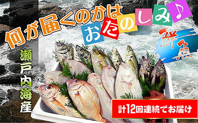 シサ鬆貞ク莨12蝗橸シス轢ャ謌ク蜀豬キ逕」縺ョ豬キ逕」迚ゥ縺ョ隧ー繧∝粋繧上○シ井ク句ヲ逅繝翫すシ