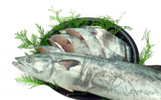 【特選品】瀬戸内海産の鰆の味噌漬け15切れの詰め合わせ 漬魚 魚貝類 加工食品