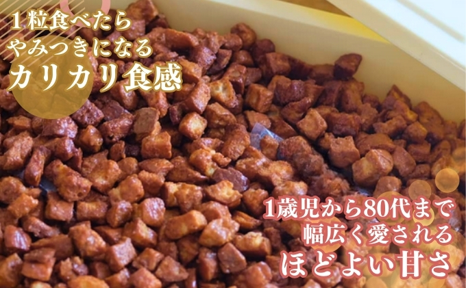 ten.ten.  食べだしたら止まらない 魅惑のキャラメルラスク 4袋 お菓子 スイーツ 洋菓子 おやつ ティータイム 甘すぎない キャラメル味 