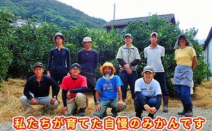 【6回 頒布会】みかん 定期便 6回 フルーツ フジカワ果樹園オリジナル（新季節の柑橘セット） 果物 詰合せ 