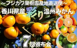 【7回頒布会】～フジカワ果樹園産地直送便～香川県産・彩り温州みかんセット 果物類 フルーツ 詰合せ お歳暮 御歳暮 お年賀 果物