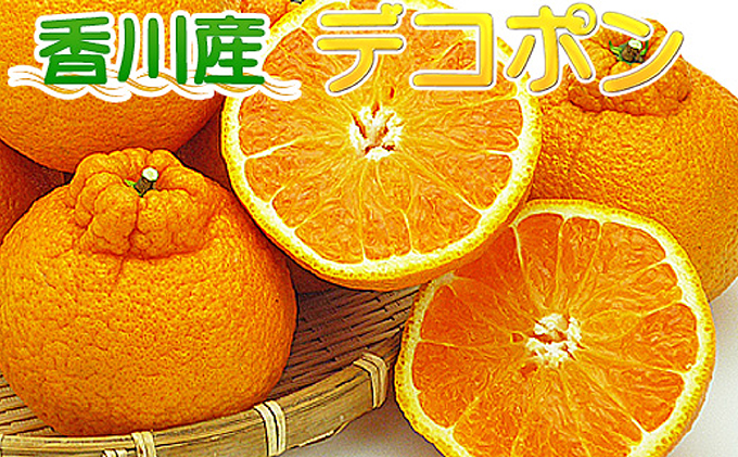 香川県産あま～いデコポン［不知火］約4.5kg 果物類 みかん 柑橘類 