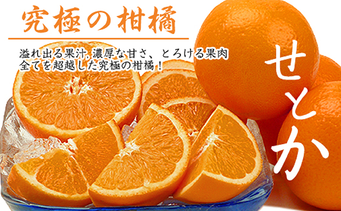 話題の人気品種［せとか約4.5kg］の詰め合わせ フルーツ 果物類 みかん 柑橘類