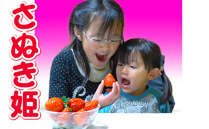 香川県のオリジナル品種/さぬき姫いちご4パック 苺 イチゴ 果物類 フルーツ