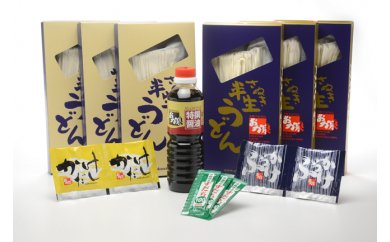 おか泉の半生麺・生じょうゆ入りセット さぬきうどん 行列のできる店 麺類 調味料