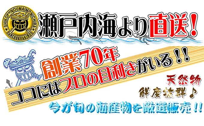 シサ鬆貞ク莨12蝗橸シス轢ャ謌ク蜀豬キ逕」縺ョ豬キ逕」迚ゥ縺ョ隧ー繧∝粋繧上○シ井ク句ヲ逅繝翫すシ