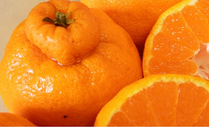 ご家庭向け！濃厚甘味「デコポン」　約5kg