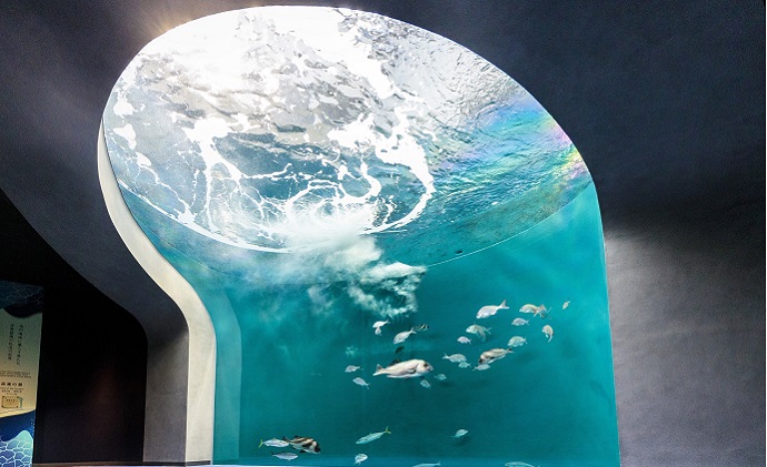 蝗帛嵜豌エ譌城、ィ縲シ懷、ァ莠コシ槭壹い蜈・鬢ィ蛻ク縲シ丈ス馴ィ灘梛 繝√こ繝繝 譌陦 蜈・蝣エ蛻ク 蜆ェ蠕蛻ク