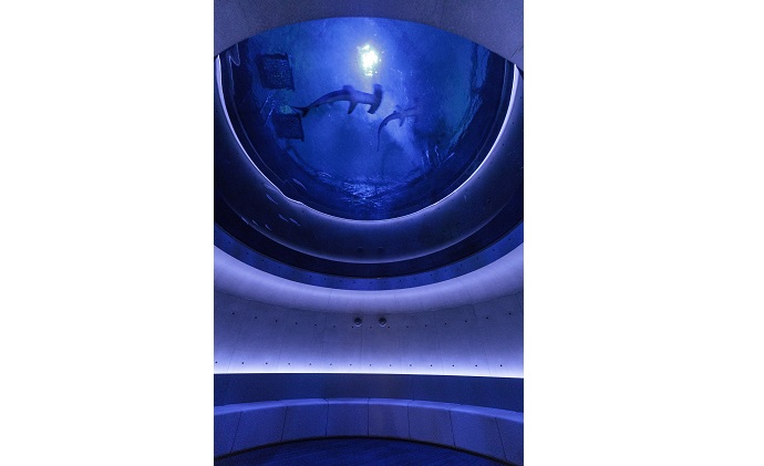 蝗帛嵜豌エ譌城、ィ縲シ懷、ァ莠コシ槭壹い蜈・鬢ィ蛻ク縲シ丈ス馴ィ灘梛 繝√こ繝繝 譌陦 蜈・蝣エ蛻ク 蜆ェ蠕蛻ク