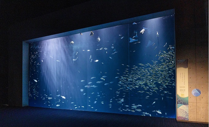 蝗帛嵜豌エ譌城、ィ縲シ懷、ァ莠コシ槭壹い蜈・鬢ィ蛻ク縲シ丈ス馴ィ灘梛 繝√こ繝繝 譌陦 蜈・蝣エ蛻ク 蜆ェ蠕蛻ク