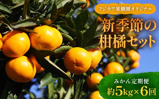 【6回 頒布会】みかん 定期便 6回《高糖度温州みかんからスタート》 フルーツ フジカワ果樹園オリジナル（新季節の柑橘セット） 果物  柑橘類 柑橘 デザート くだもの 果実 食品 FAH-0040