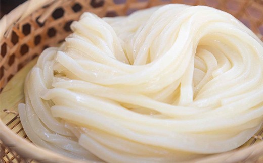 二段熟成半生さぬきうどん9人前 だし付き（鎌田醤油）  うどん 麺 麺類 麺類 加工品 食品 FAH-0095
