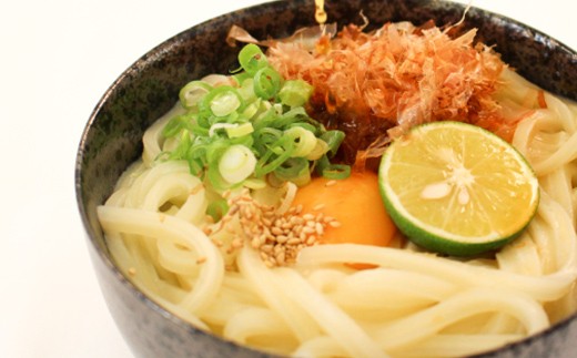 二段熟成半生さぬきうどん24人前 だし付き（鎌田醤油）  うどん 麺 麺類 麺類 加工品 食品 FAH-0093
