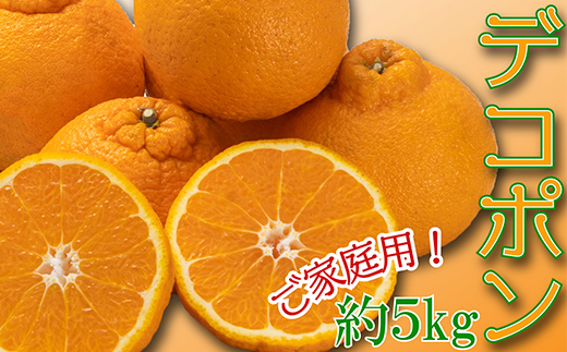 ご家庭向け！濃厚甘味「デコポン」　約5kg  柑橘類 柑橘 デコポン デザート フルーツ 果物 くだもの 果実 食品 FAH-0143