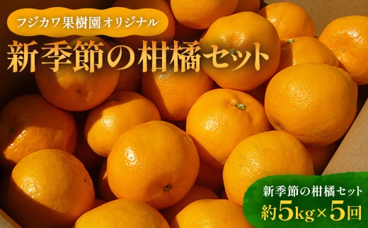 みかん 定期便 5回《フジカワ温州みかんからスタート》 フルーツ フジカワ果樹園オリジナル（新季節の柑橘セット） 果物  柑橘類 柑橘 デザート くだもの 果実 食品 FAH-0041
