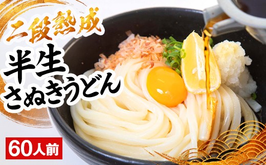二段熟成半生さぬきうどん60人前 300g×20袋  うどん 麺 麺類 麺類 加工品 食品 FAH-0100