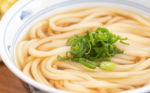 二段熟成半生さぬきうどん9人前 だし付き（鎌田醤油）  うどん 麺 麺類 麺類 加工品 食品 FAH-0095