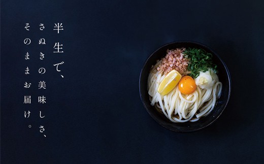 二段熟成半生さぬきうどん9人前 だし付き（鎌田醤油）  うどん 麺 麺類 麺類 加工品 食品 FAH-0095