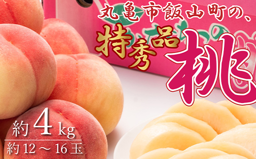 特秀品！丸亀市飯山の「桃」約4kg  果物 フルーツ デザート たっぷり 果汁 甘い おいしい 老舗 見極め   ぶどう ブドウ 葡萄 くだもの 果実 食品 FAH-0130