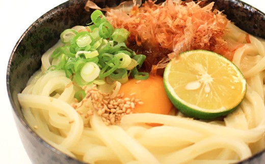 二段熟成半生さぬきうどん9人前 だし付き（鎌田醤油）  うどん 麺 麺類 麺類 加工品 食品 FAH-0095
