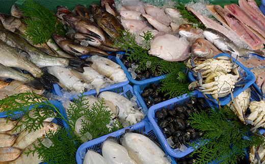 ［頒布会6回］瀬戸内海産の海産物の詰め合わせ（下処理アリ）  海の幸 鮮魚 魚 魚介 海産物 海鮮 食品 FAH-0125