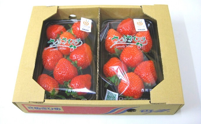 螟ァ邊偵&縺ャ縺阪イ繧√>縺。縺斐DX250gテ6繝代ャ繧ッ 繝輔Ν繝シ繝 譫懃黄鬘 闍コ 繧、繝√ざ