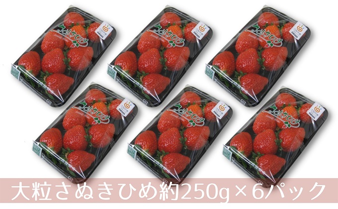 螟ァ邊偵&縺ャ縺阪イ繧√>縺。縺斐DX250gテ6繝代ャ繧ッ 繝輔Ν繝シ繝 譫懃黄鬘 闍コ 繧、繝√ざ