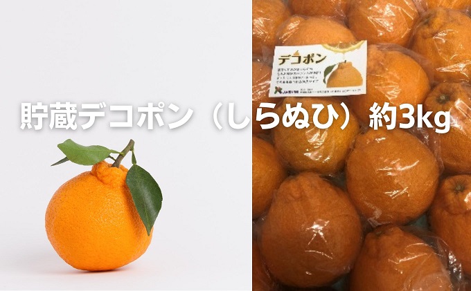 貯蔵デコポン（しらぬひ）約3kg 果物類 みかん 柑橘類 濃厚 香川県産