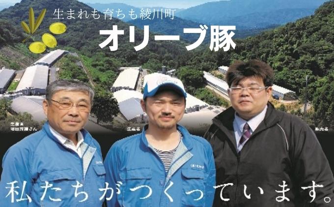 オリーブ豚　ロースとんかつ用500g 受賞 ブランド 優秀賞 美味しい 豚カツ 冷凍 