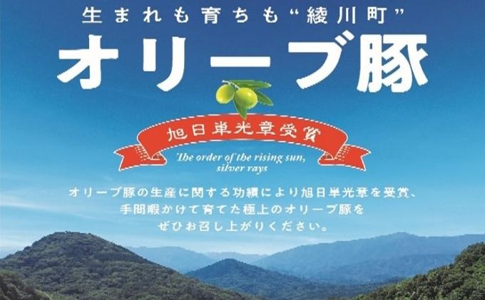 オリーブ豚　ロースブロック500g 受賞 ブランド 優秀賞 美味しい とんかつ 豚カツ 冷凍 
