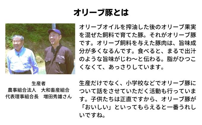 オリーブ豚　ロースブロック500g 受賞 ブランド 優秀賞 美味しい とんかつ 豚カツ 冷凍 