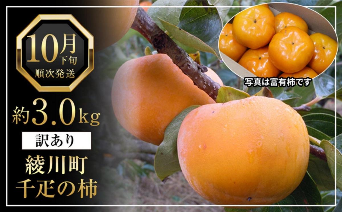 全国でも有名な「綾川町産千疋の柿」訳ありサイズ混合 約3.0kg 果物 フルーツ 秋 秋の味覚 おやつ デザート 食後 特産品 果実 香川県産 産地直送 国産 旬