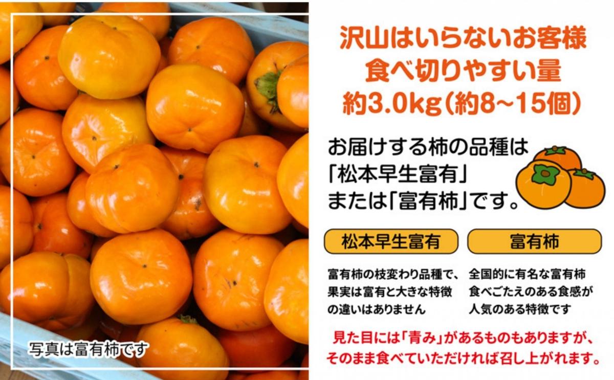 å
šåœã§ãæåãªãç¶Ÿå·çºç£åçã®æ¿ãèš³ãããµã€ãºæ··å çŽ3.0kg æç© ãã«ãŒã ç§ ç§ã®å³èŠ ãã〠ãã¶ãŒã é£åŸ ç¹ç£å æå® éŠå·çç£ ç£å°çŽé åœç£ æ¬