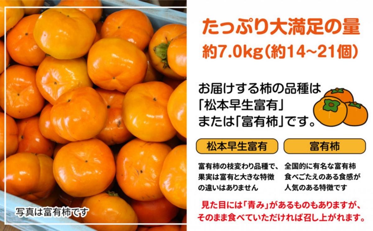 å
šåœã§ãæåãªãç¶Ÿå·çºç£åçã®æ¿ãèš³ãããµã€ãºæ··å çŽ7.0kg æç© ãã«ãŒã ç§ ç§ã®å³èŠ ãã〠ãã¶ãŒã é£åŸ ç¹ç£å æå® éŠå·çç£ ç£å°çŽé åœç£ æ¬