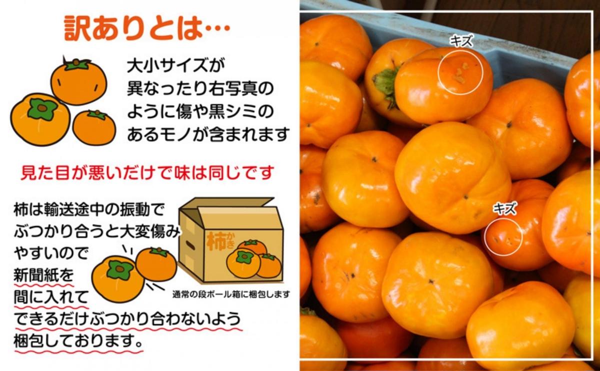 å
šåœã§ãæåãªãç¶Ÿå·çºç£åçã®æ¿ãèš³ãããµã€ãºæ··å çŽ7.0kg æç© ãã«ãŒã ç§ ç§ã®å³èŠ ãã〠ãã¶ãŒã é£åŸ ç¹ç£å æå® éŠå·çç£ ç£å°çŽé åœç£ æ¬