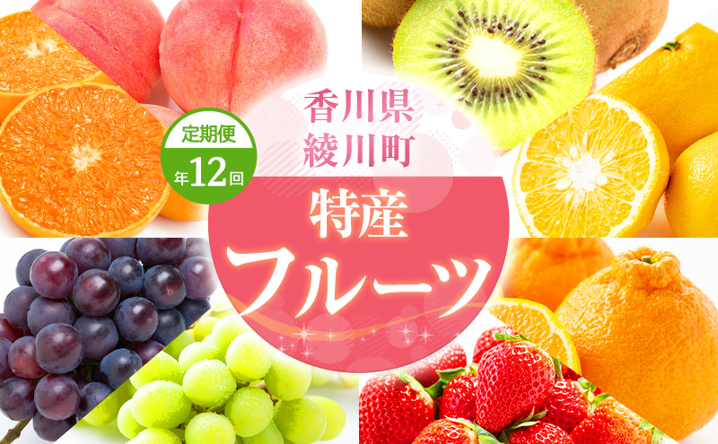 特産　フルーツ　定期便（年12回） 香緑キウイ さぬきひめいちご しらぬひ 貯蔵 デコポン